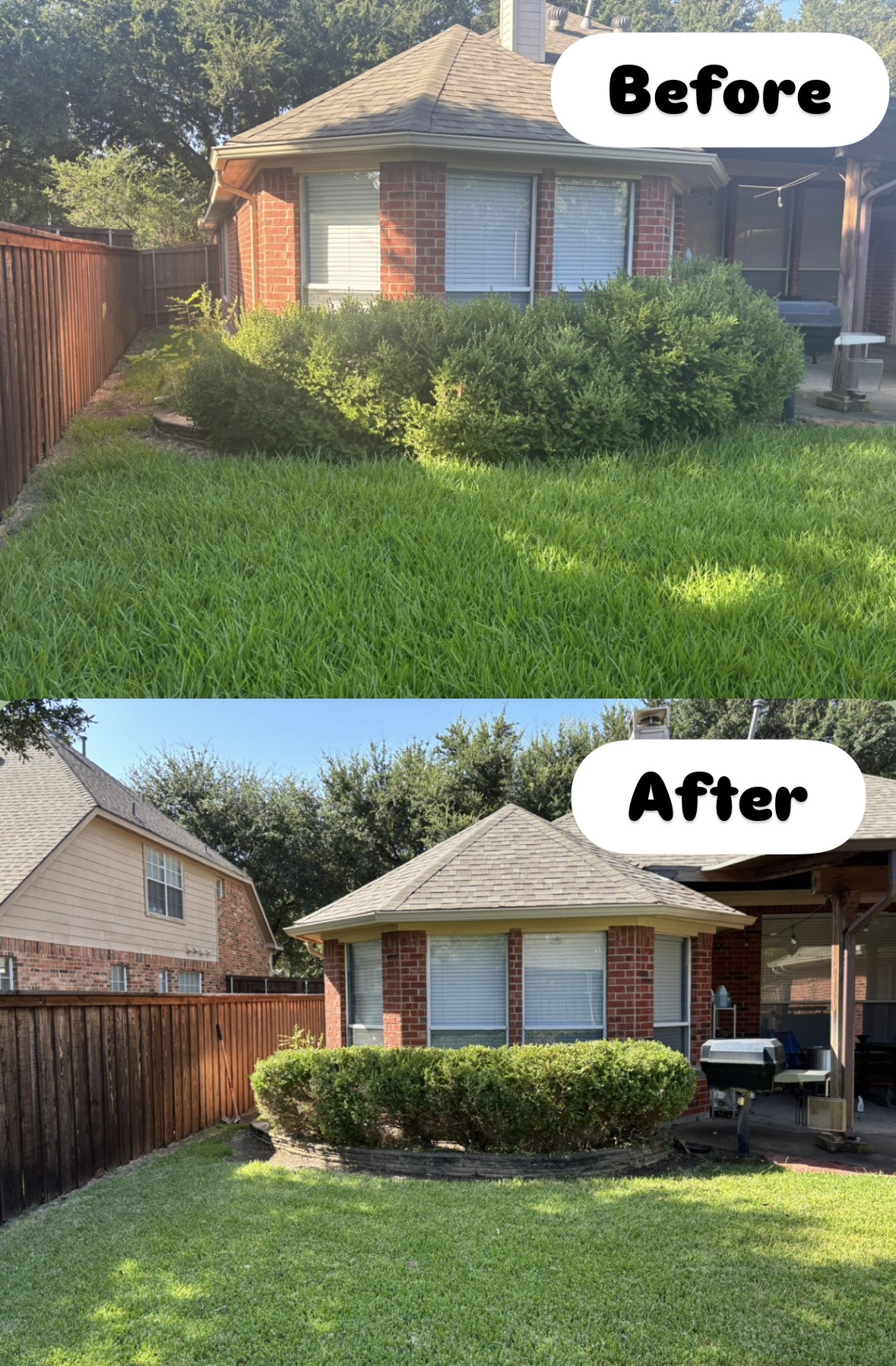 Backyard shrubs trimmed along the home and lawn