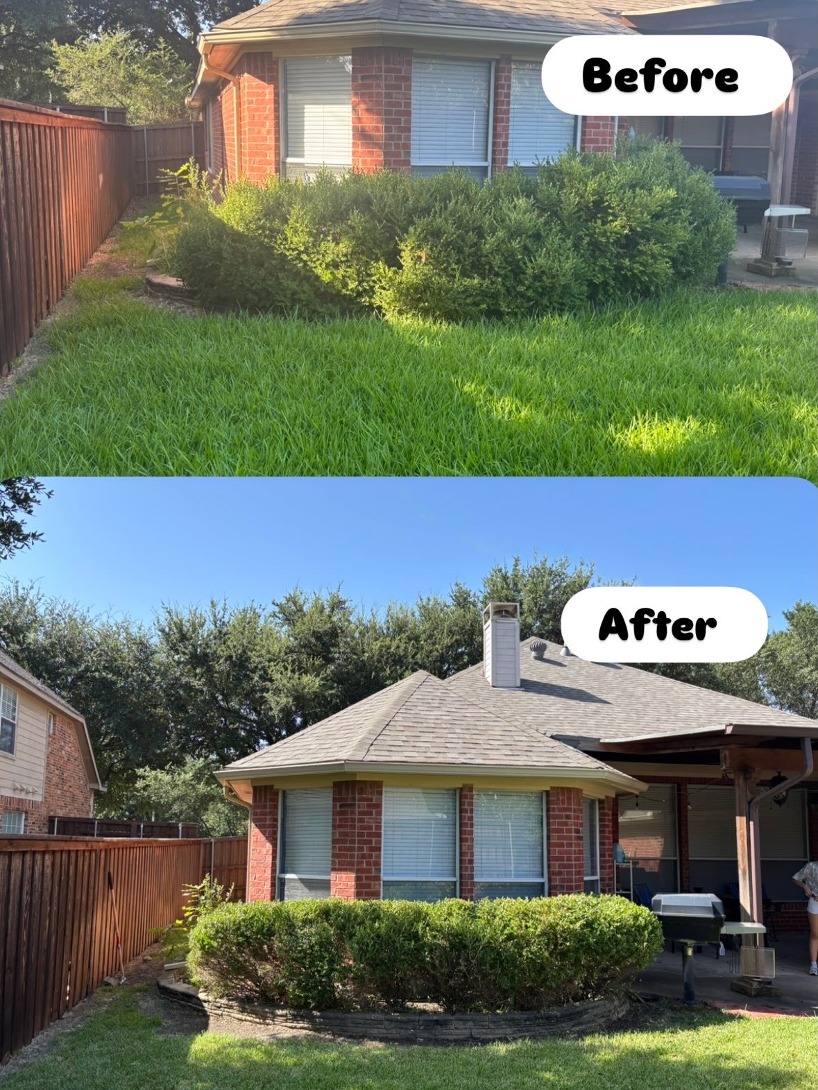 Before-and-after photos of a residential hedge trimming project