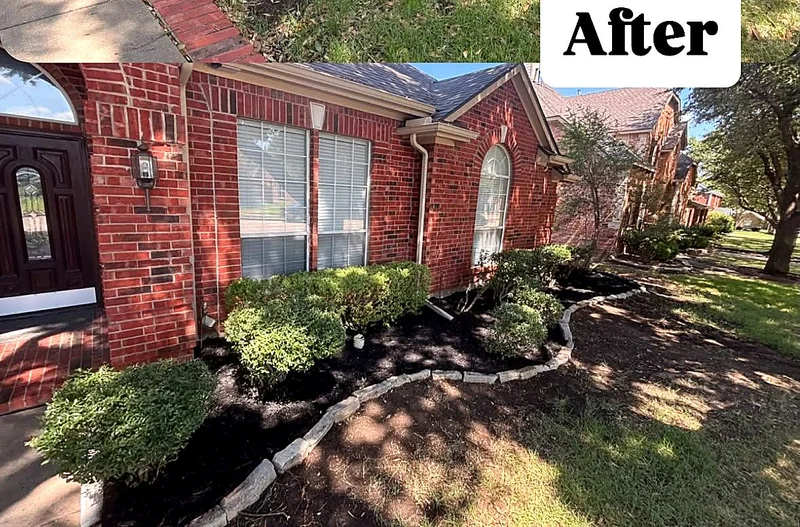 Front yard shrubs and landscape beds after exterior work