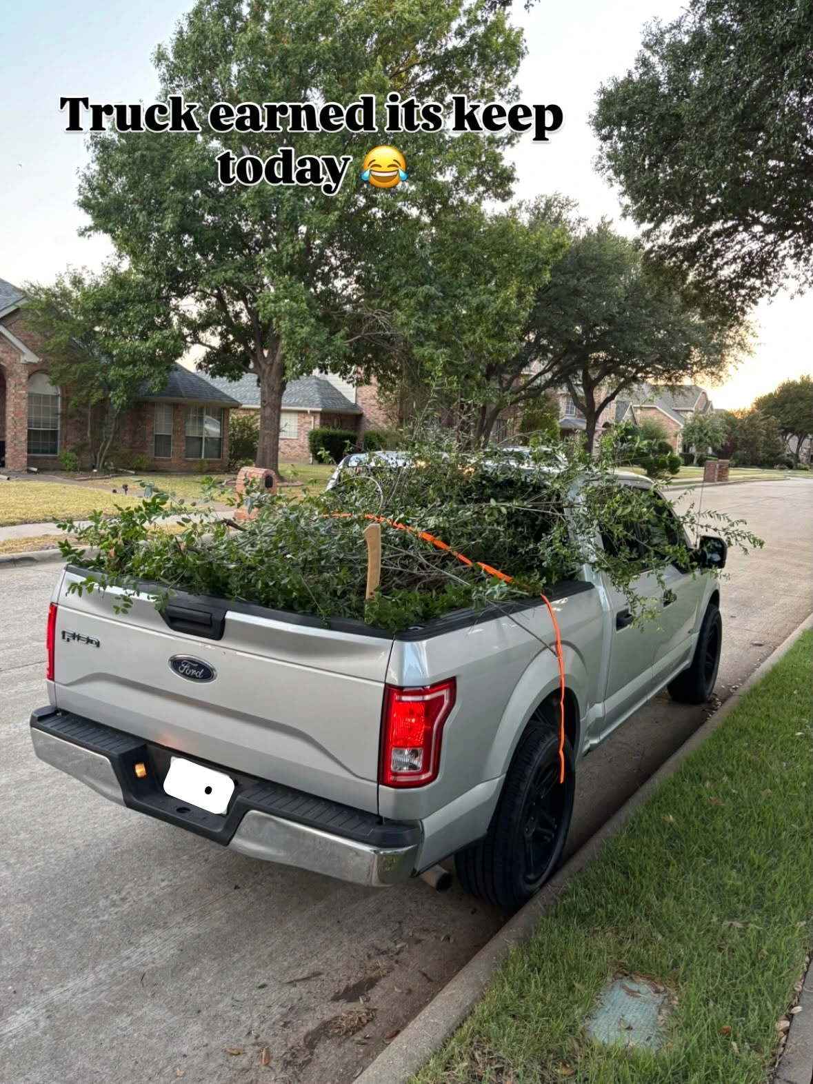 Work truck loaded with branches after exterior cleanup
